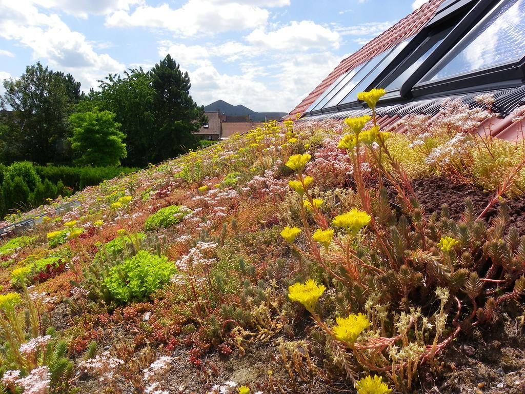 Fleur De Ciel Loos-en-Gohelle Exterior foto