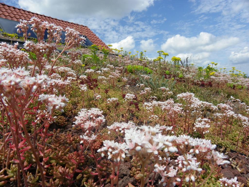 Fleur De Ciel Loos-en-Gohelle Exterior foto